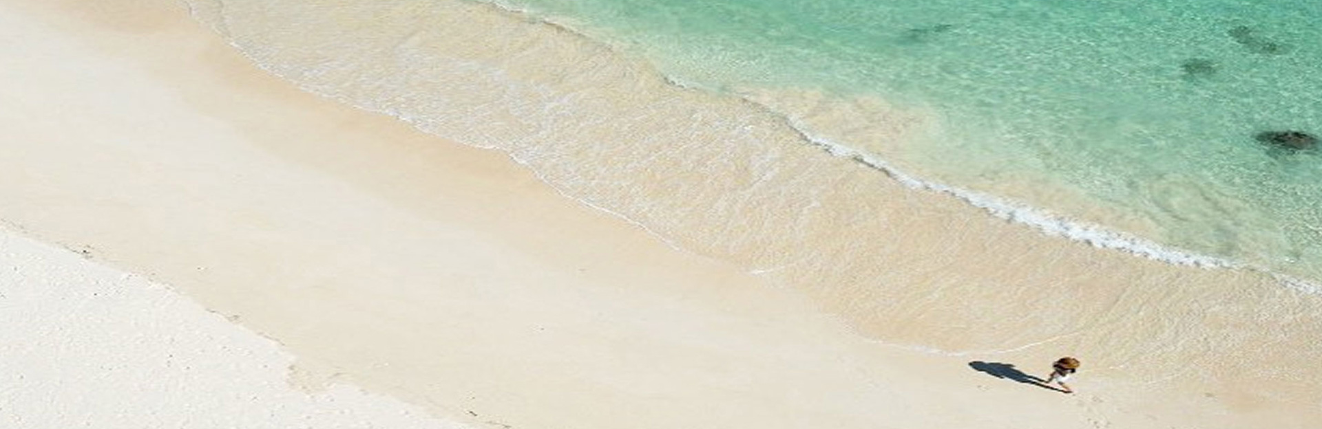 特定商取引法に基づく表示